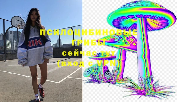 ECSTASY Волосово