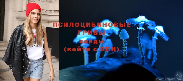 прущая мука Вяземский