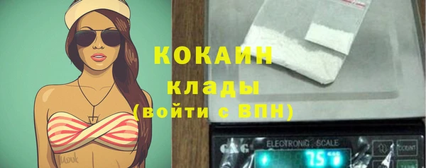 прущая мука Вяземский