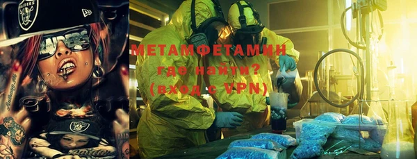 прущая мука Вяземский