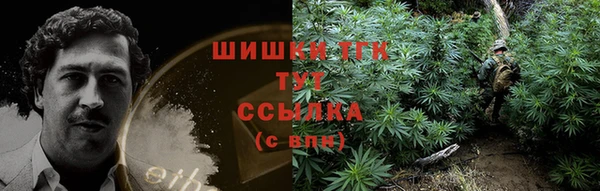 ECSTASY Волосово