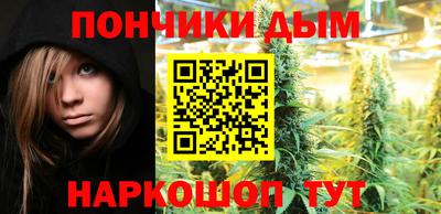 прущие крисы Заводоуковск