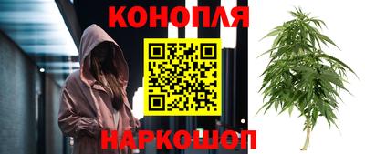 прущие крисы Заводоуковск