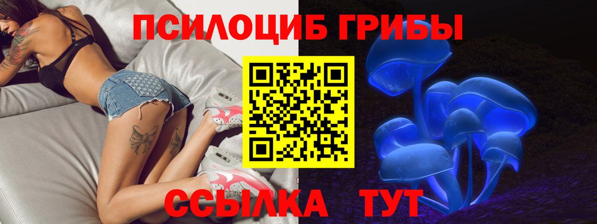 Конопля Ноябрьск