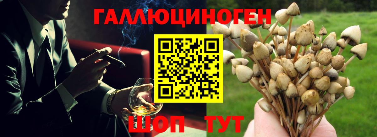 Псилоцибиновые грибы ЛСД Ноябрьск